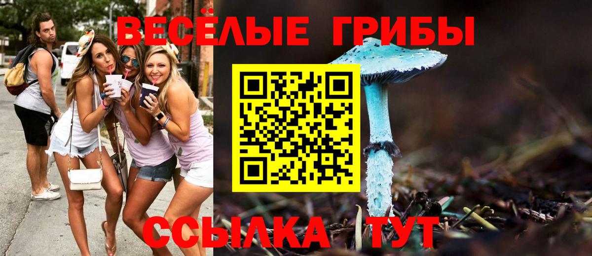 хочу наркоту  Вход с VPN  Усть-Джегута  Галлюциногенные грибы MAGIC MUSHROOMS  Галлюциногенные грибы MAGIC MUSHROOMS 
