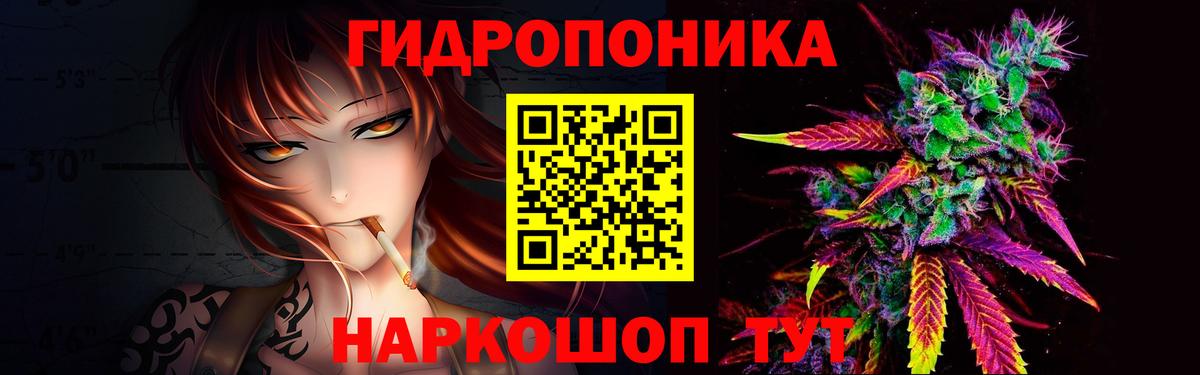 Марихуана гибрид Усть-Джегута